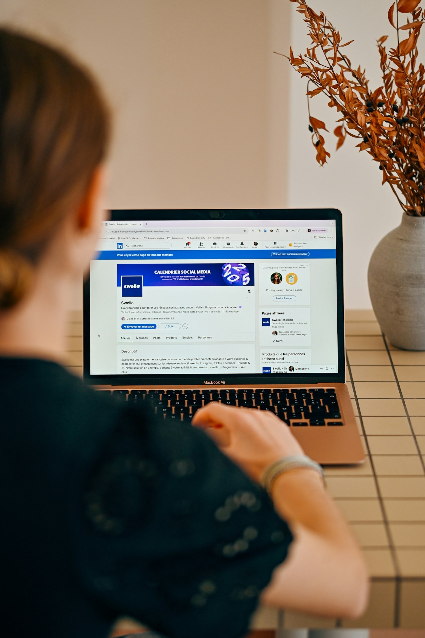Creating Seamless Campaigns with OmniAuto’s Tools